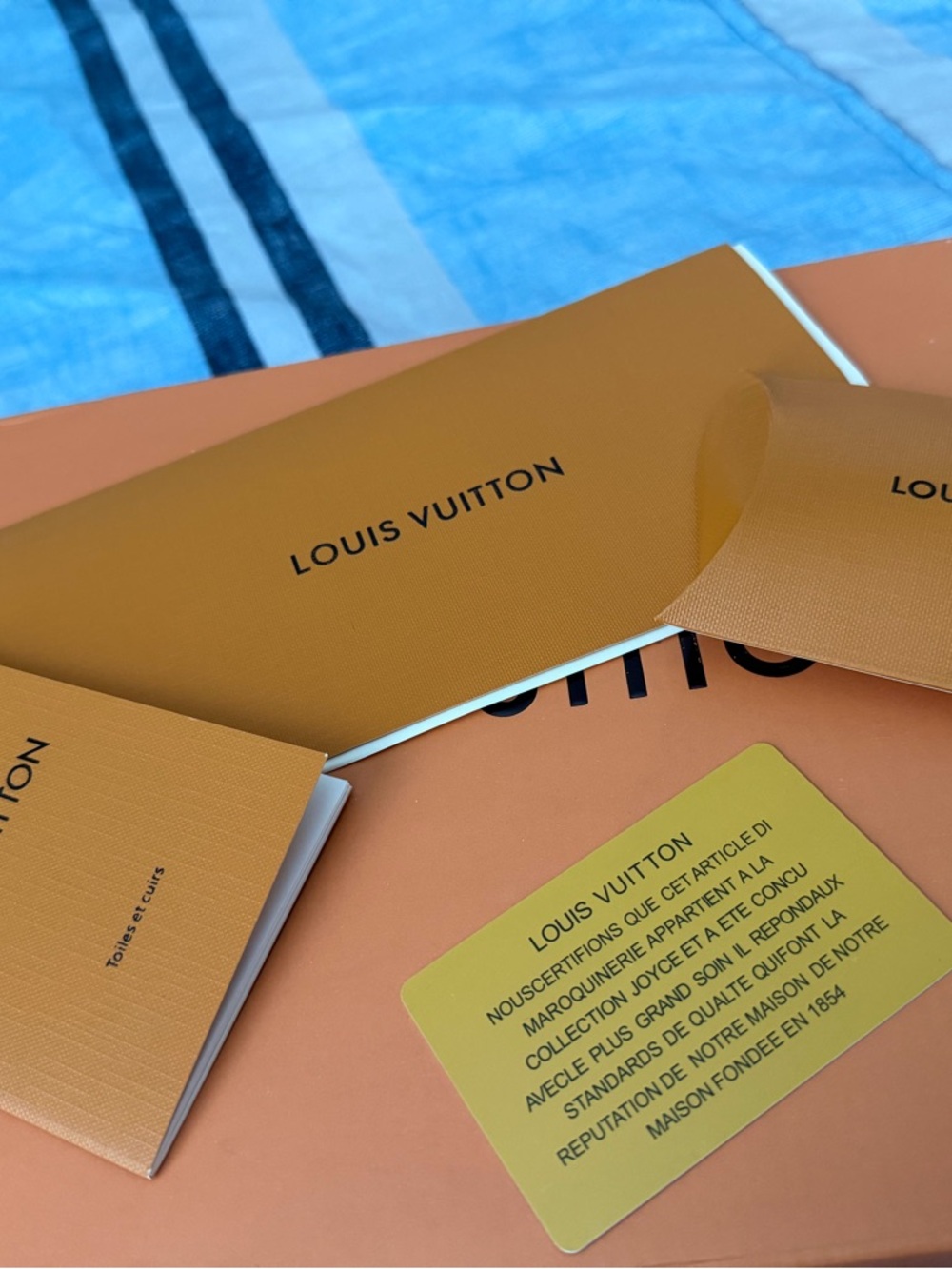 Louis Vuitton Orange Box with Cream Dust Bag